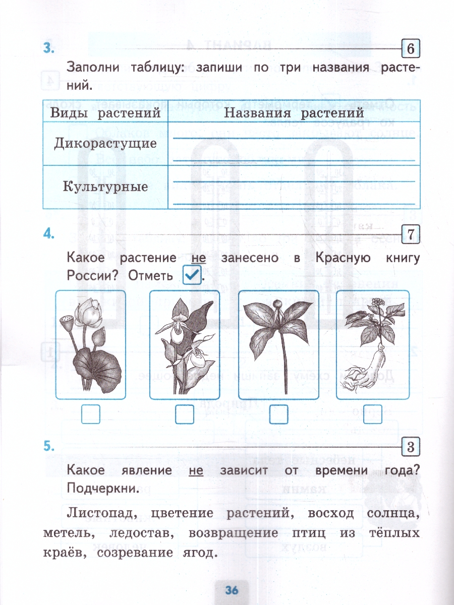 УМК Плешаков Окружающий мир 2 кл. Проверочные работы (к новому ФПУ)(карты  по состояни ФГОС (Экзамен) - Межрегиональный Центр «Глобус»