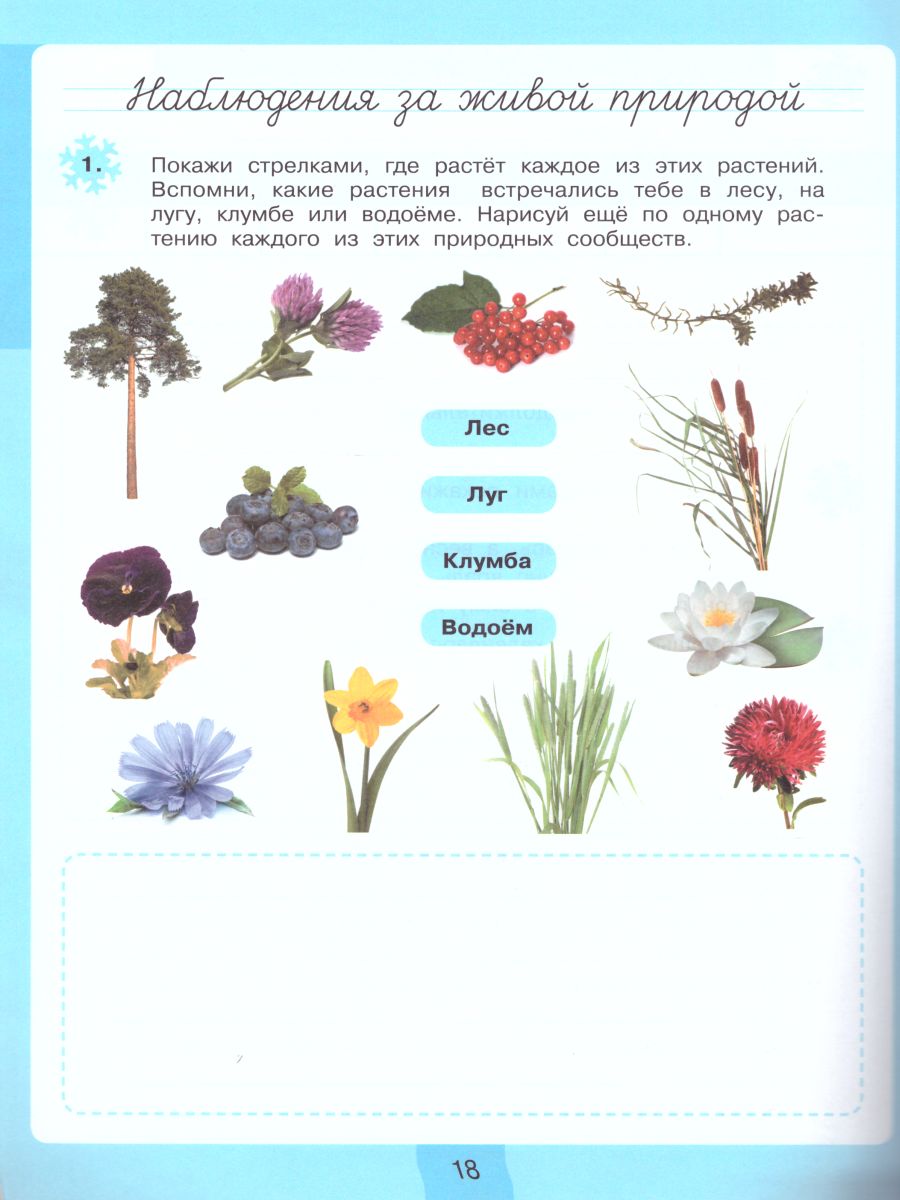 Дневник наблюдений. Окружающий мир 4 класс - Межрегиональный Центр «Глобус»