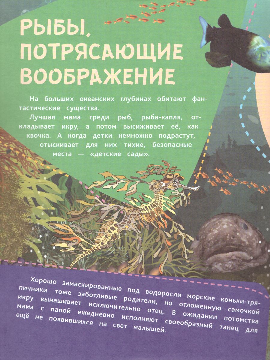 Подводные тайны: Удивительные жители морей, основы водной жизни, загадки  океанских глубин (100 наклеек) - Межрегиональный Центр «Глобус»