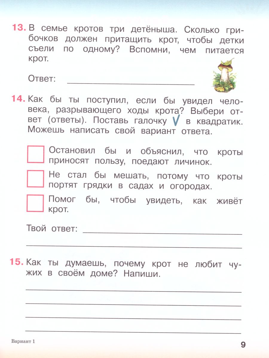 Комплексная проверочная работа(*) 1 класс (I уровень сложности). Рабочая  тетрадь - Межрегиональный Центр «Глобус»