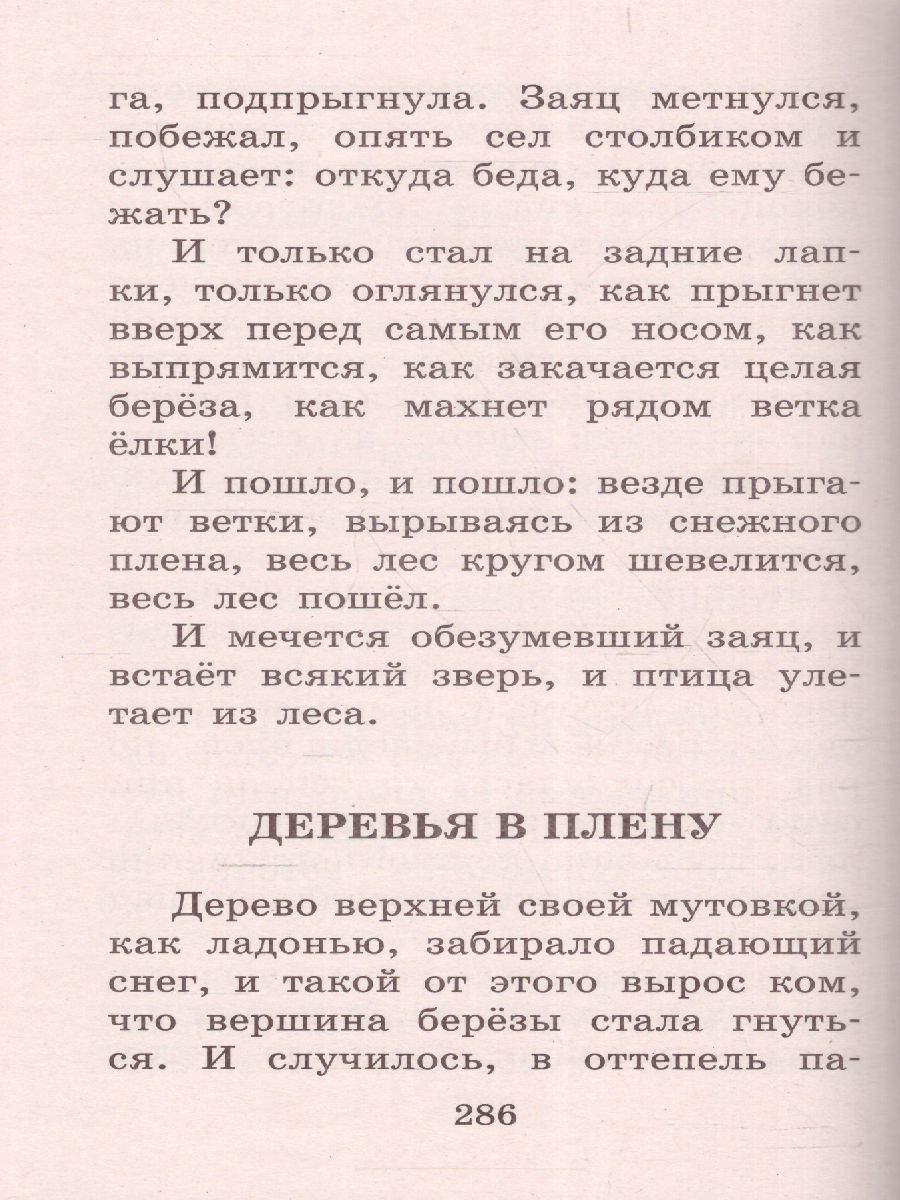 Кладовая солнца. Повесть и рассказы /Большая детская библиотека -  Межрегиональный Центр «Глобус»