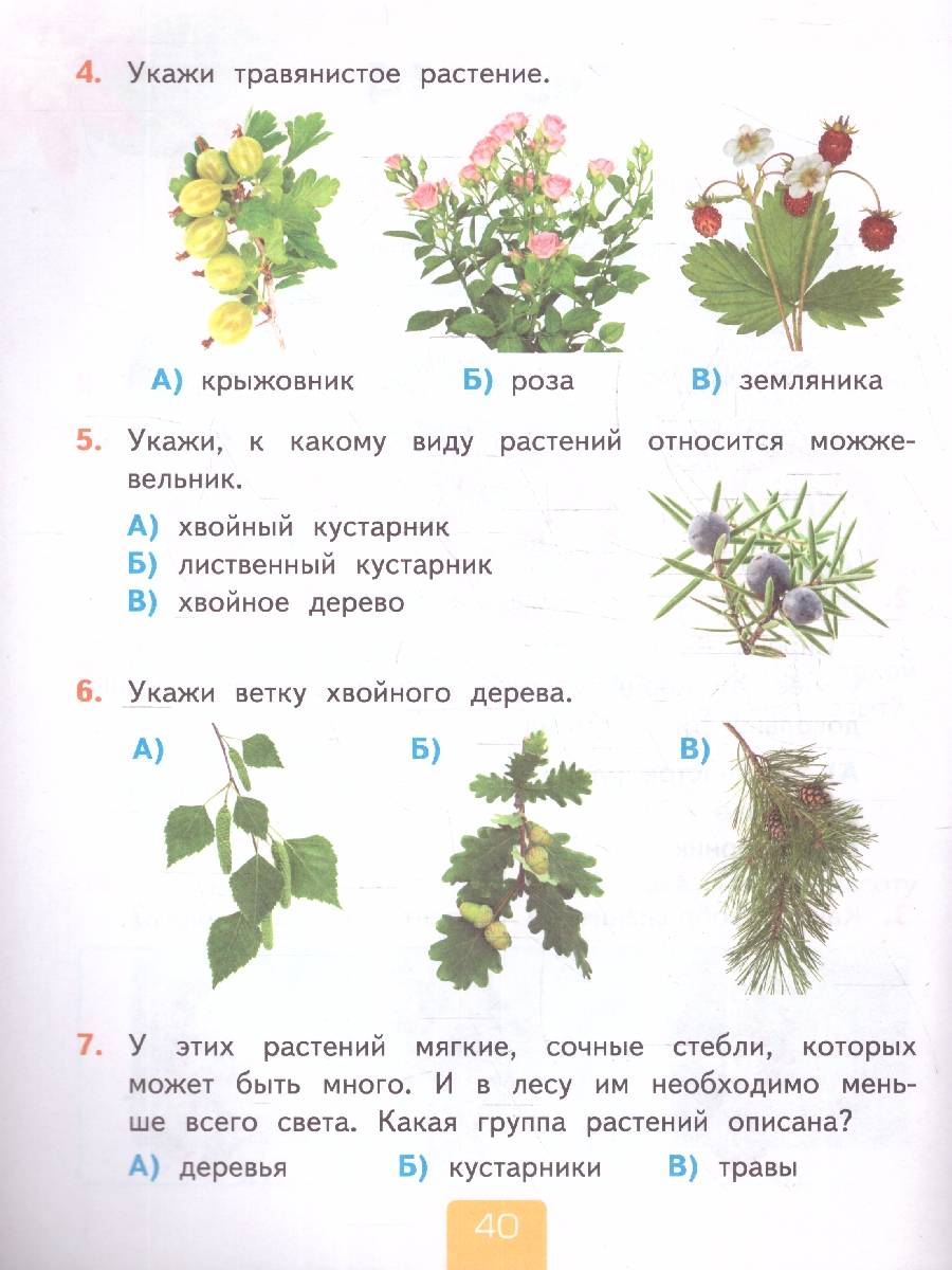 УМК Плешаков Окружающий мир 2 кл. Тесты Ч.1. ФГОС НОВЫЙ (четыре краски) (к  новому учебнику (Экзамен) - Межрегиональный Центр «Глобус»