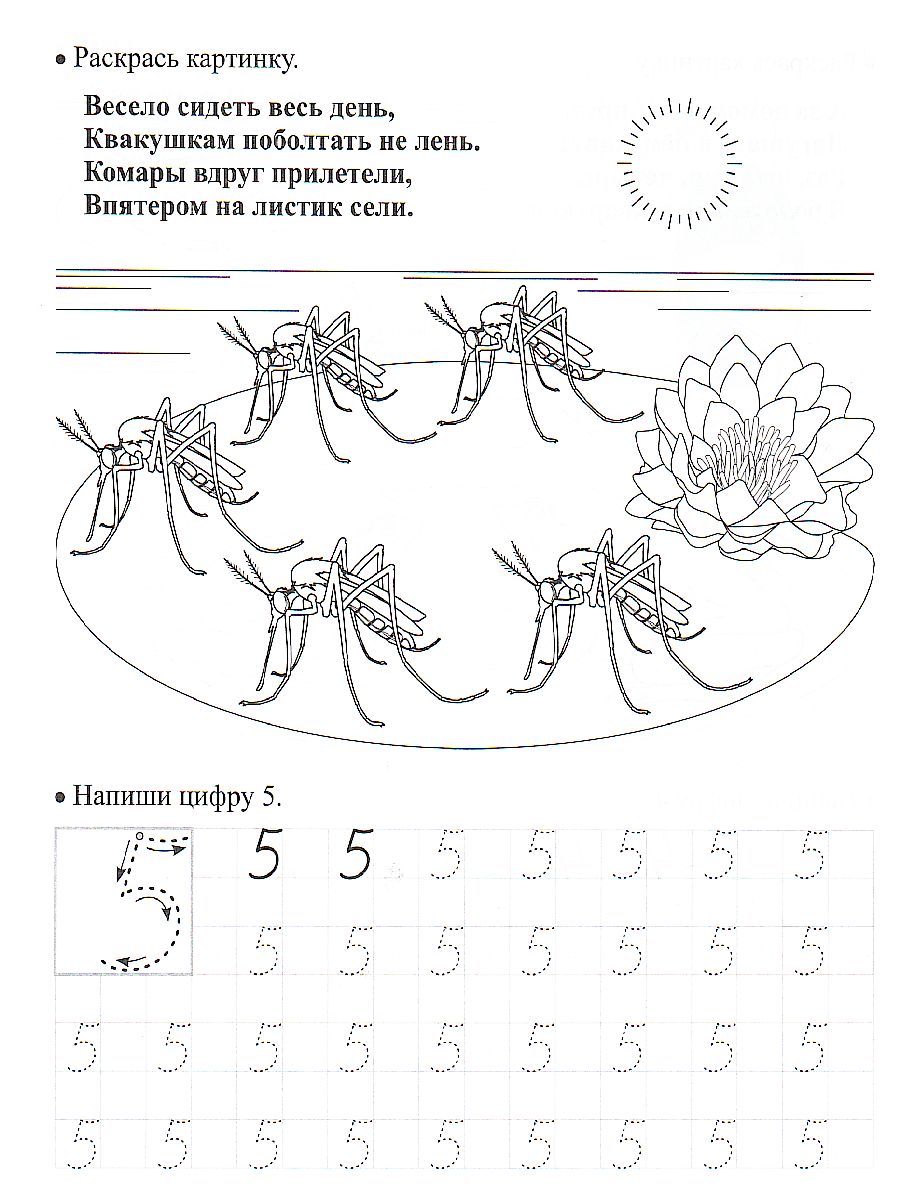 Пропись-тренажёр. Умею писать цифры: для детей 7 лет - Межрегиональный  Центр «Глобус»