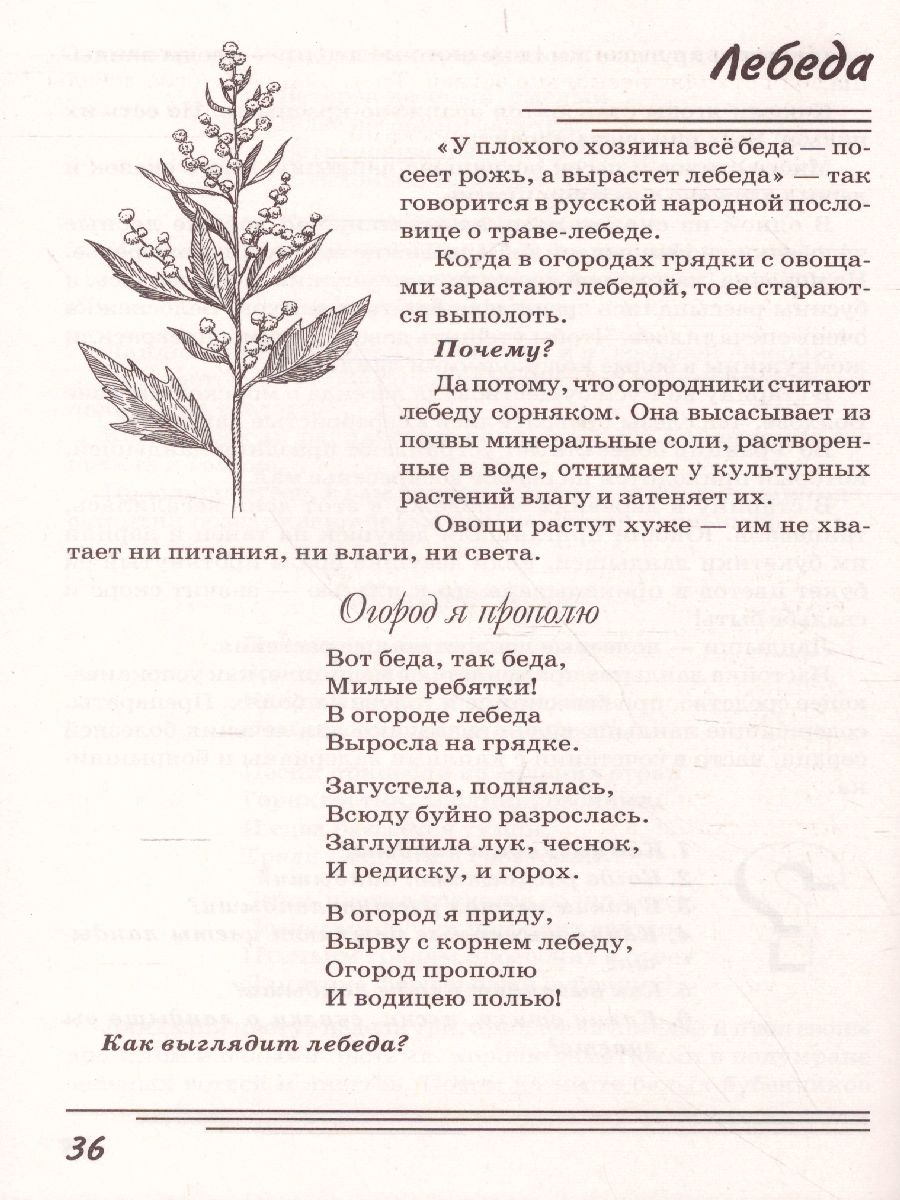 Травы. Какие они? Знакомство с окружающим миром, развитие речи -  Межрегиональный Центр «Глобус»