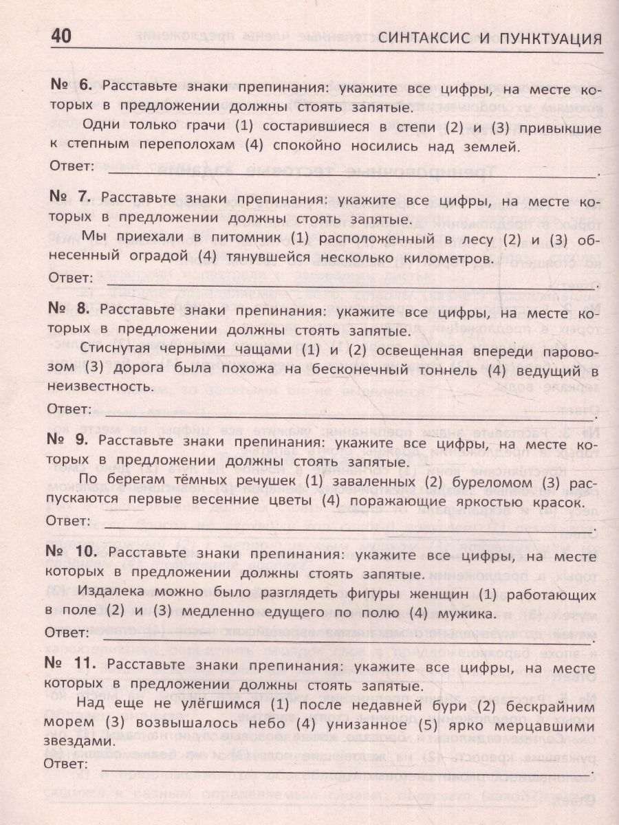 Синтаксис и пунктуация. Комплексная подготовка к ЕГЭ, ОГЭ и ВПР / Стоп!  Ошибка! - Межрегиональный Центр «Глобус»