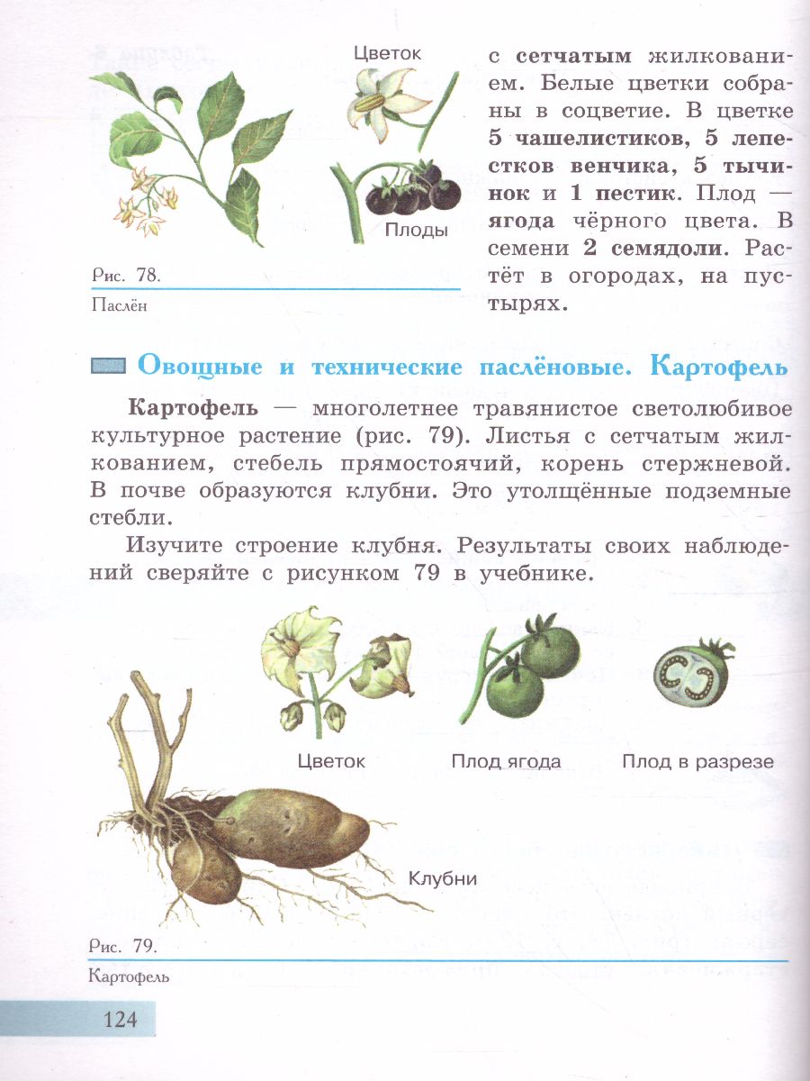 Биология 7 класс. Растения. Бактерии. Грибы. Учебник. Для обучающихся с  интеллектуальными нарушениями - Межрегиональный Центр «Глобус»