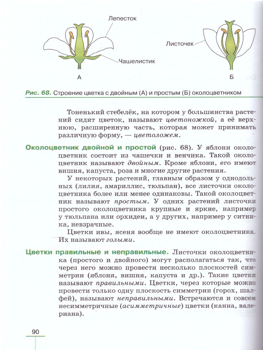 Книга по биологии 6 класс растения 2022