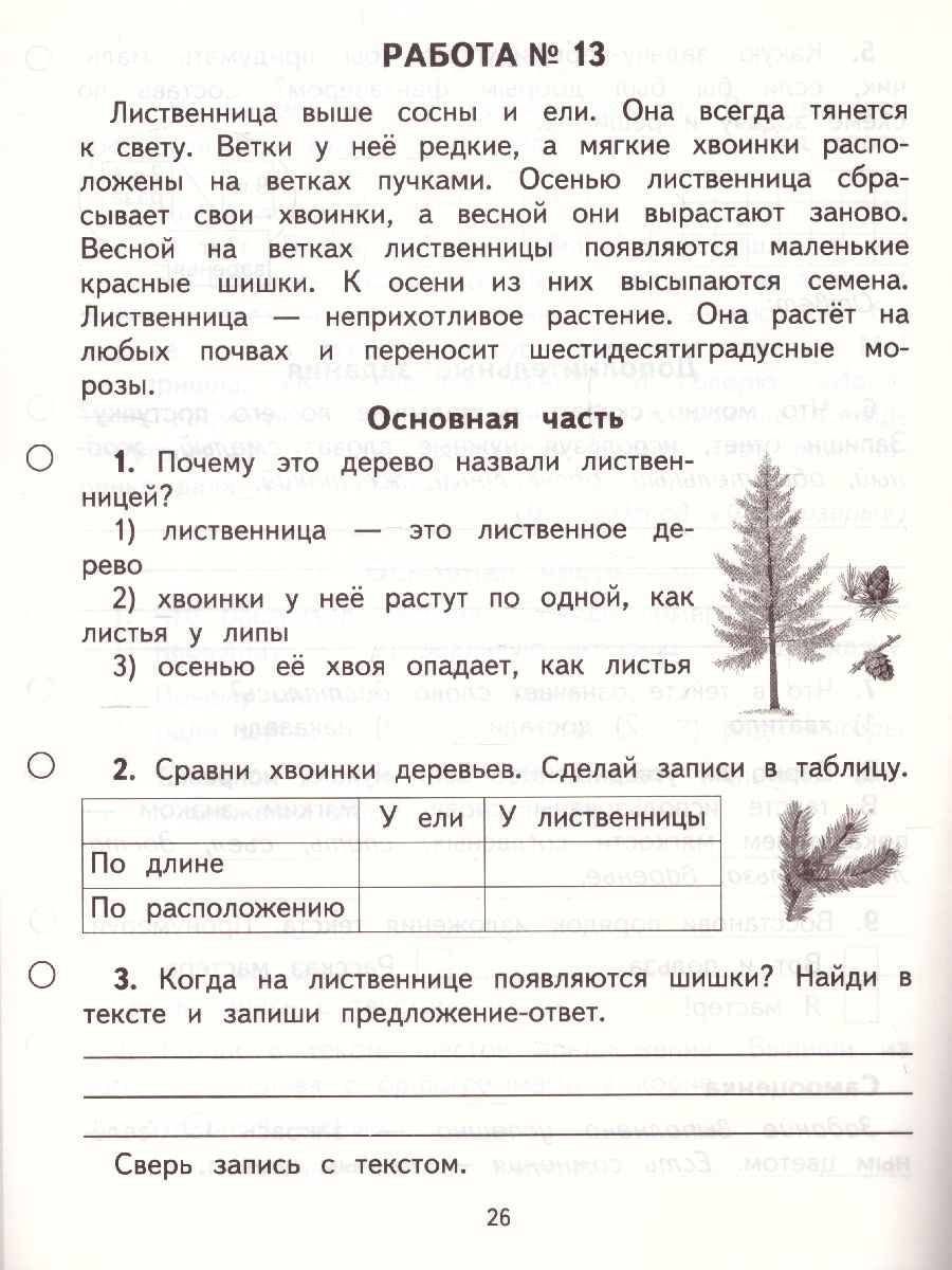 Русский язык Литературное чтение Математика Окружающий мир 2 класс. Обучающие  комплексные работы. ФГОС - Межрегиональный Центр «Глобус»