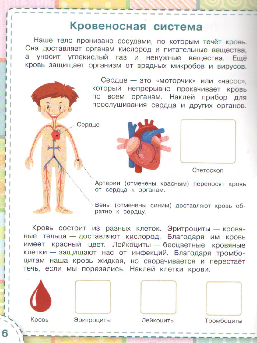 Санитарная книжка в 2022 году: порядок и правила оформления