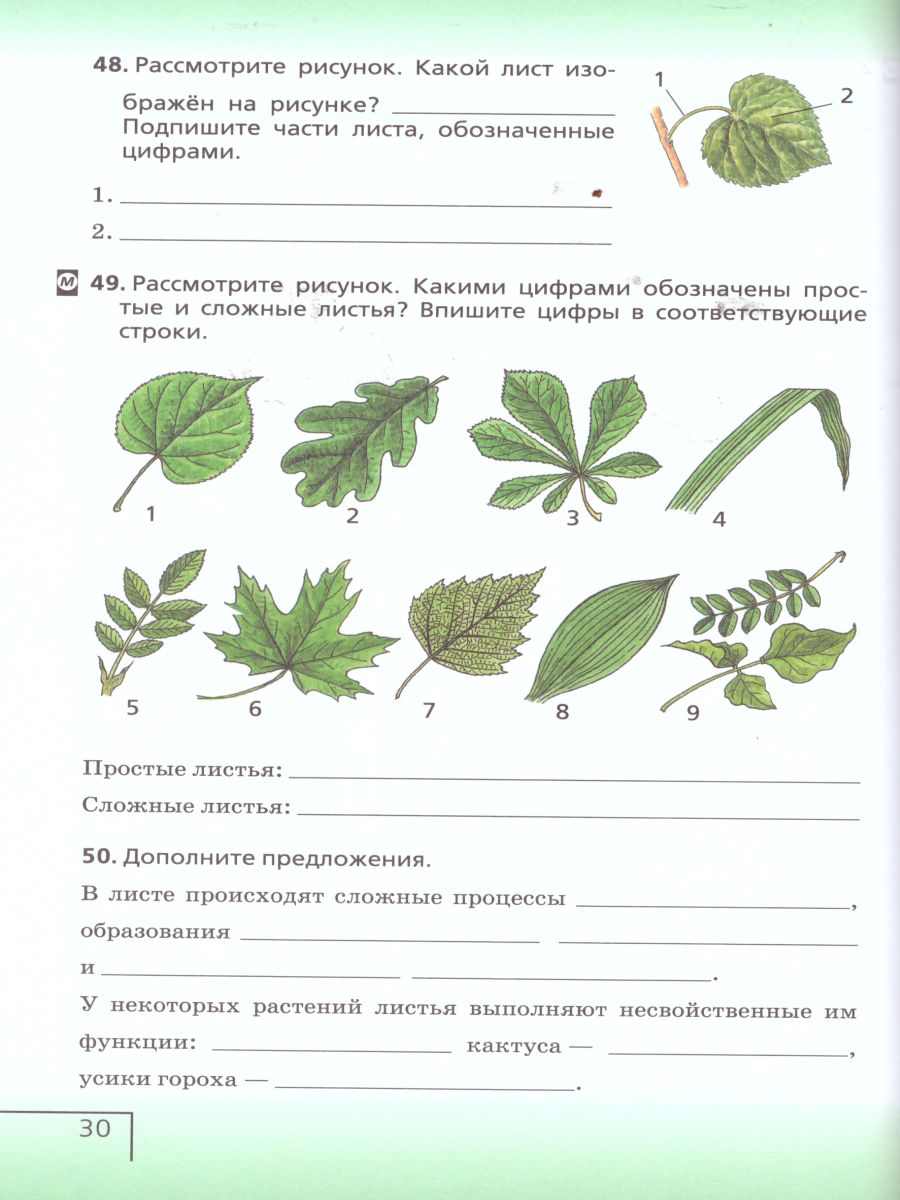 Биология 6 класс. Живой организм. Рабочая тетрадь. С тестовыми заданиями  ЕГЭ. Вертикаль. ФГОС - Межрегиональный Центр «Глобус»