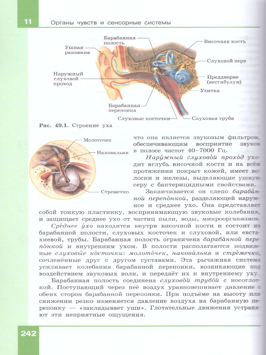 Биология 9 класс. Учебник - Межрегиональный Центр «Глобус»