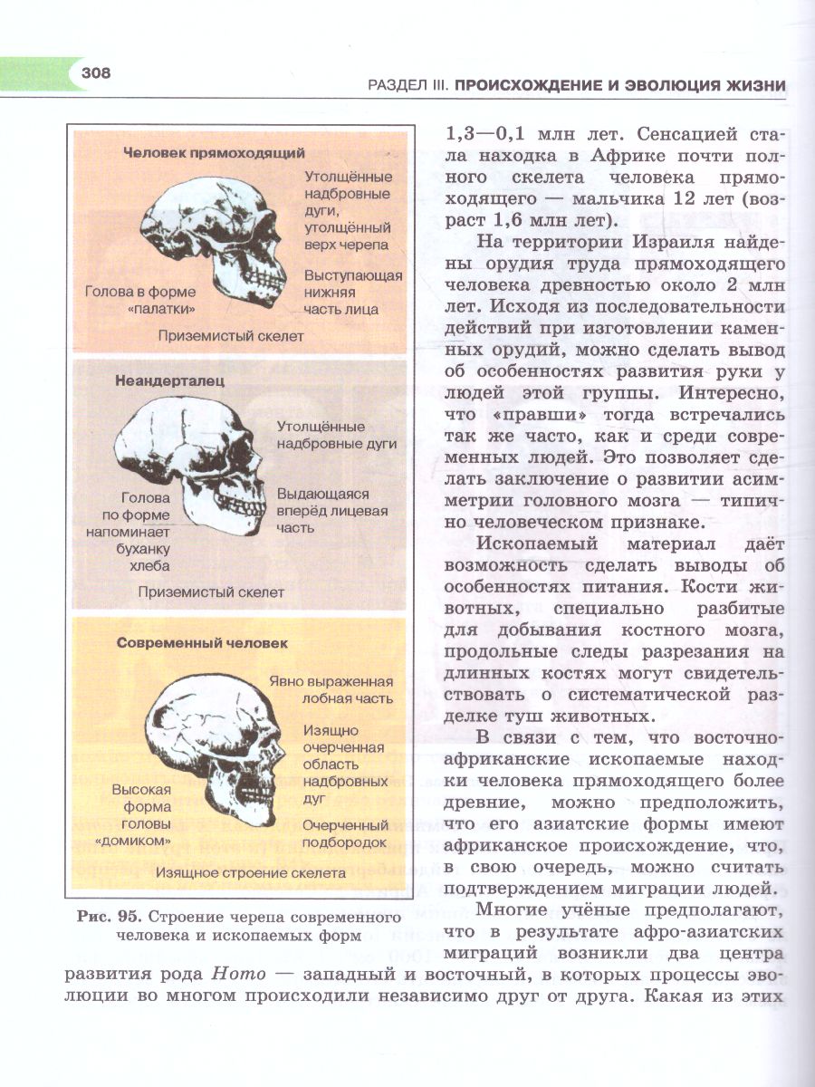 Биология 10-11 класс. Базовый уровень. Учебник - Межрегиональный Центр  «Глобус»