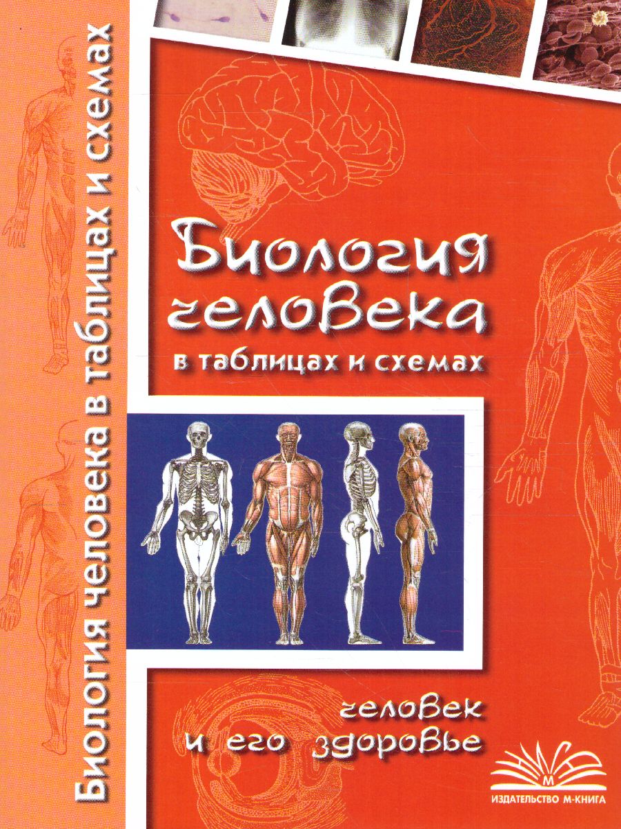 Биология Человека В Таблицах И Схемах. Человек И Его Здоровье.