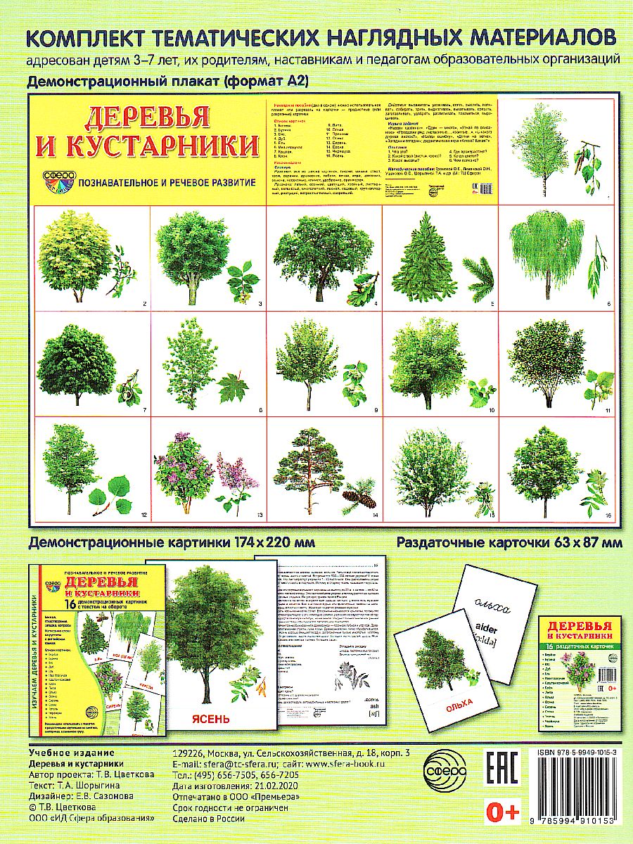 Картинки Деревья И Кусты Для Детского Сада