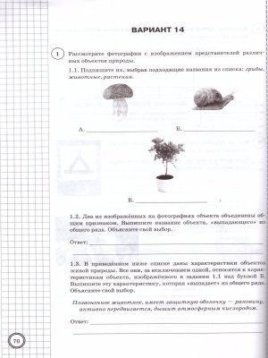 Впр биология 5 класс образец