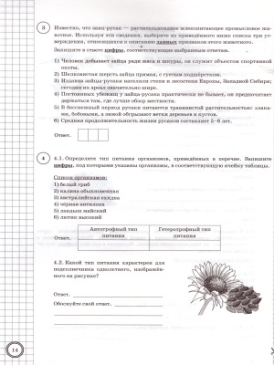 Внимательно рассмотрите предложенные рисунки 2 вариант 2 впр